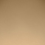 PAESE Illuminating & Covering Powder - 1C Warm Beige