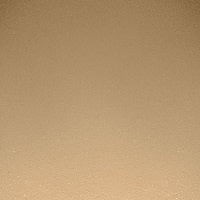 PAESE Illuminating & Covering Powder - 1C Warm Beige