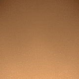 PAESE Illuminating & Covering Powder - 4C Tanned