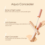 ZEESEA Aqua Concealer - W01