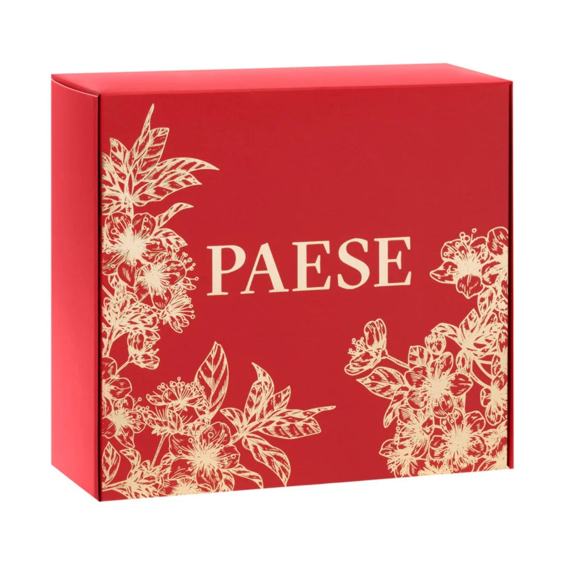 PAESE Nature Look Makeup Gift Set