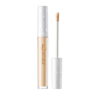 Palace Identity Blossom Nourishing Concealer - B01
