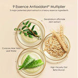 Palace Identity Blossom Nourishing Concealer - B01