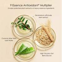 Palace Identity Blossom Nourishing Concealer - B01