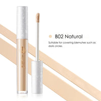 Palace Identity Blossom Nourishing Concealer - B02